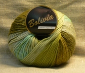 klik voor meer info Bolivia kleur 05.